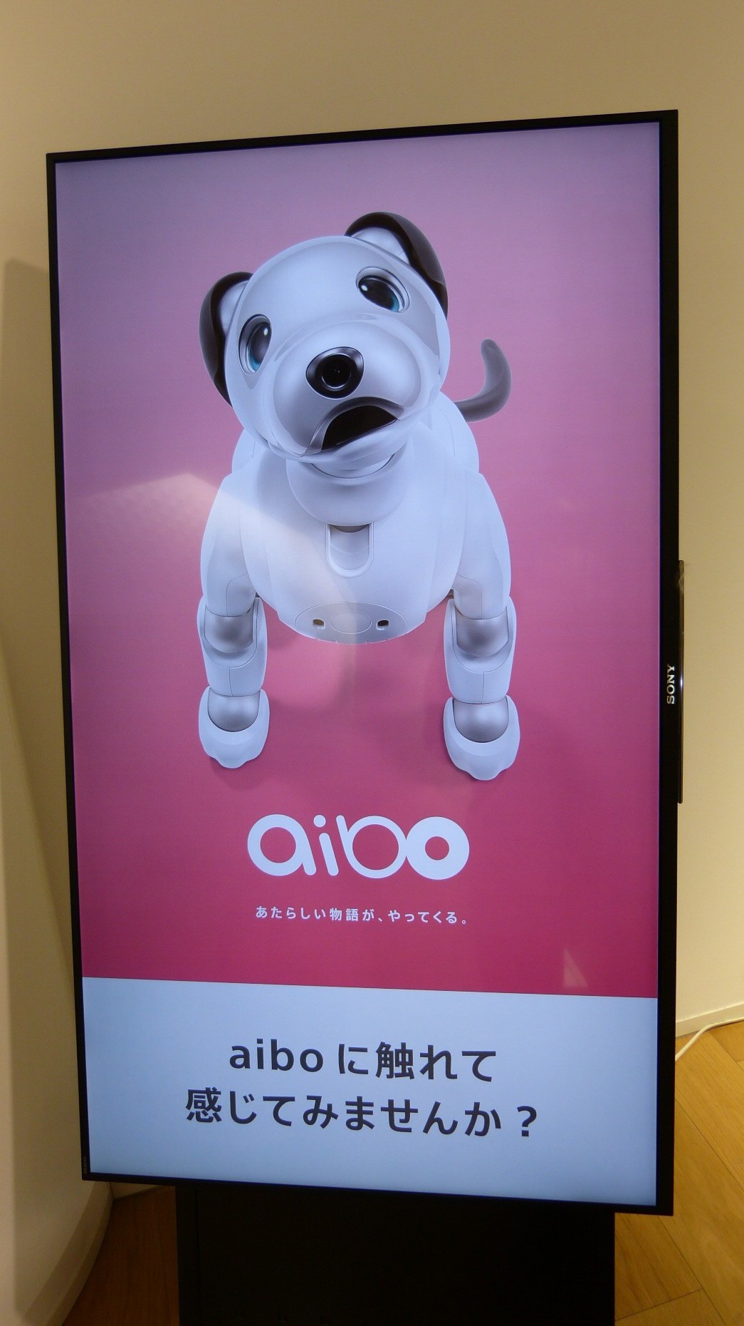 aibo sign